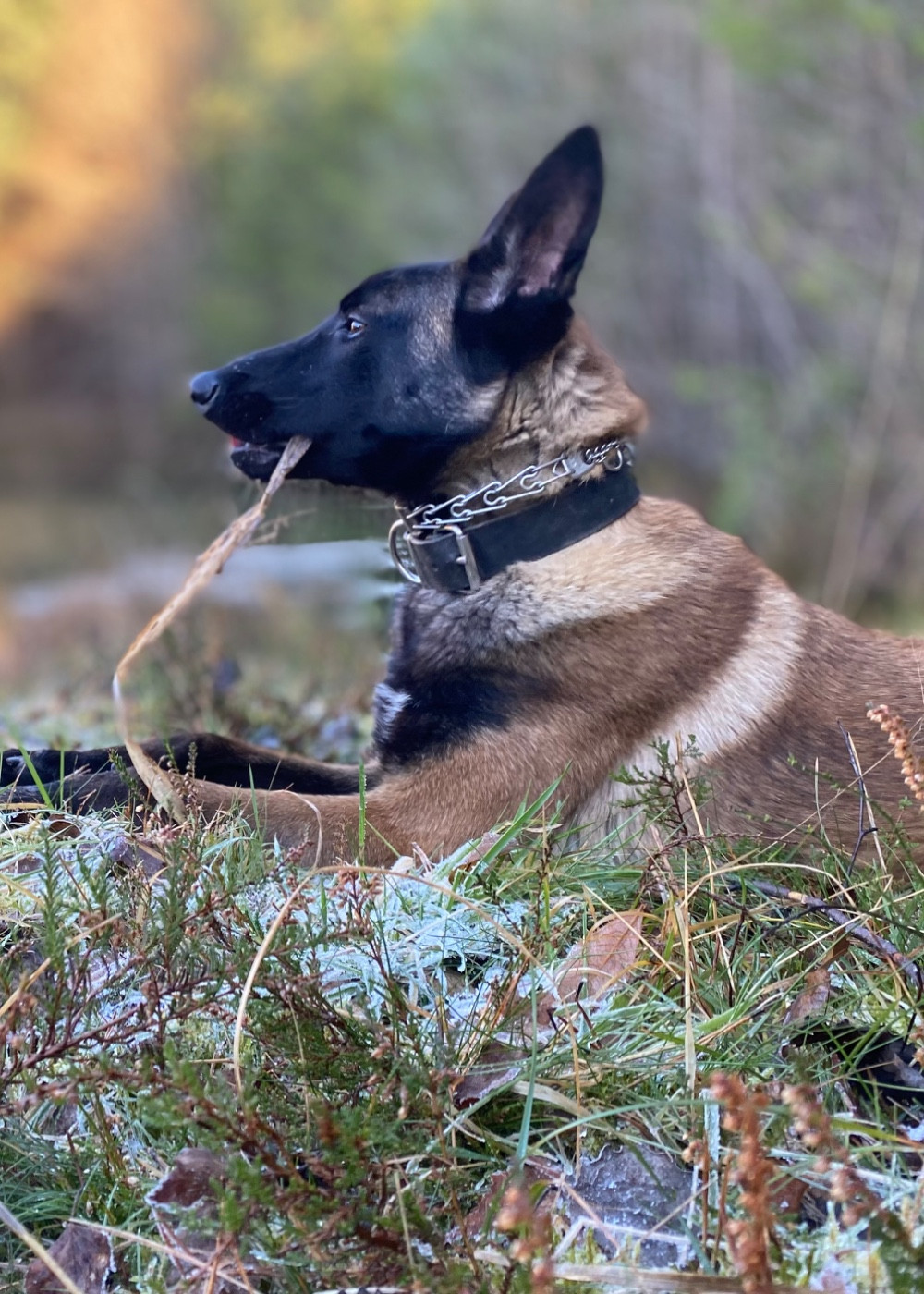 Rabane du Domaine De La Rebeyrie