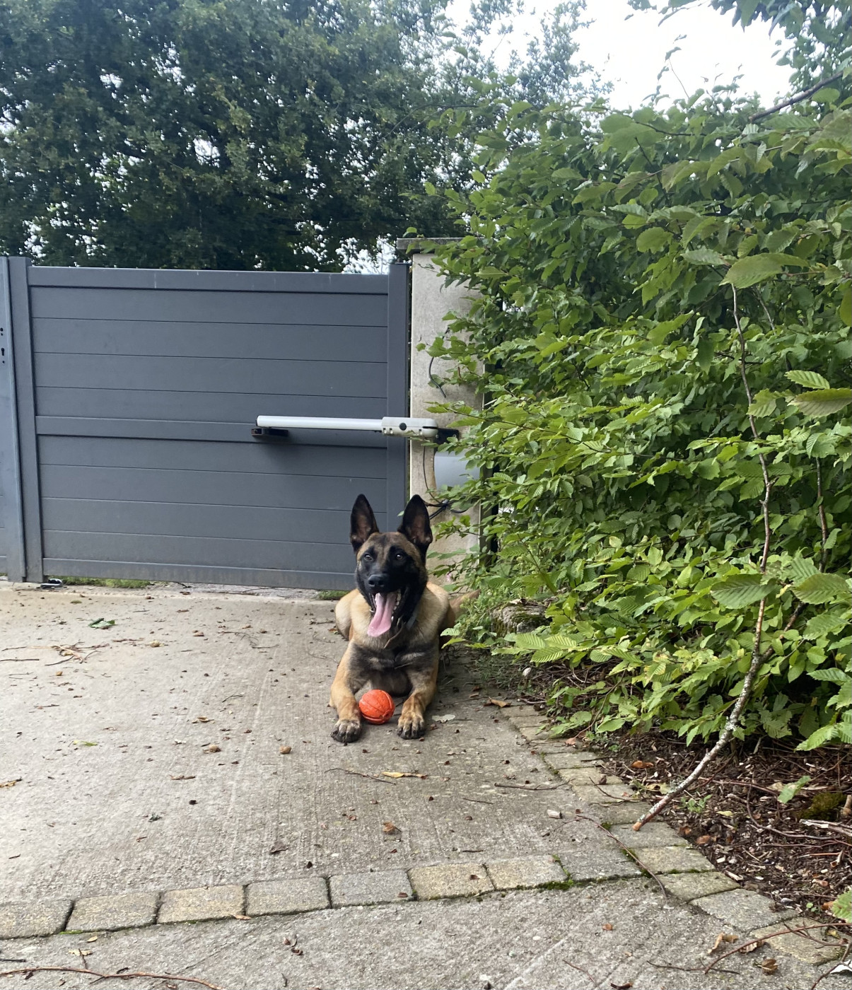 TAMIA du Domaine De La Rebeyrie